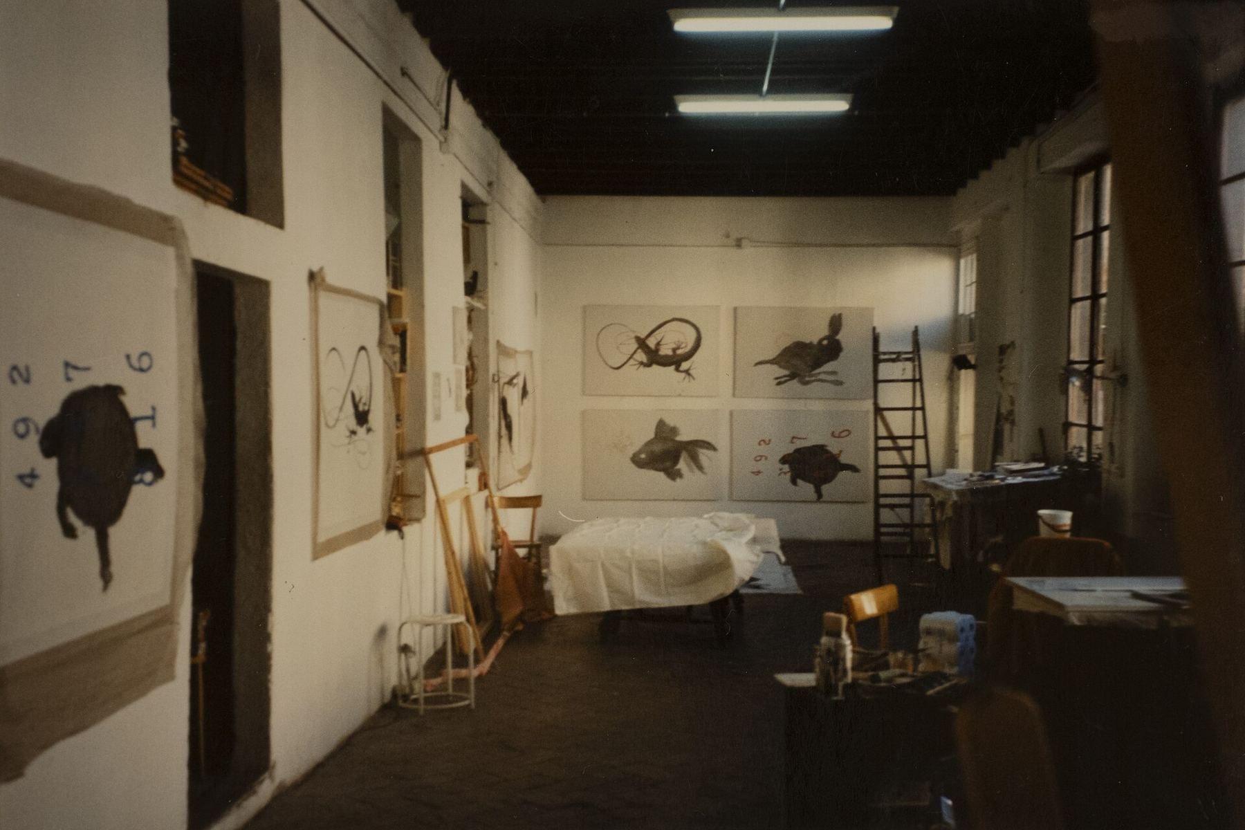 Long, dim studio workroom with large animal drawings pinned to the walls
